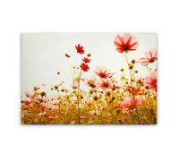 Leinwandbild FlowerMeadow2 Blumen 90cm x 60 cm
