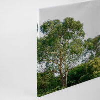 Leinwandbild Treetop Wald 90cm x 60 cm