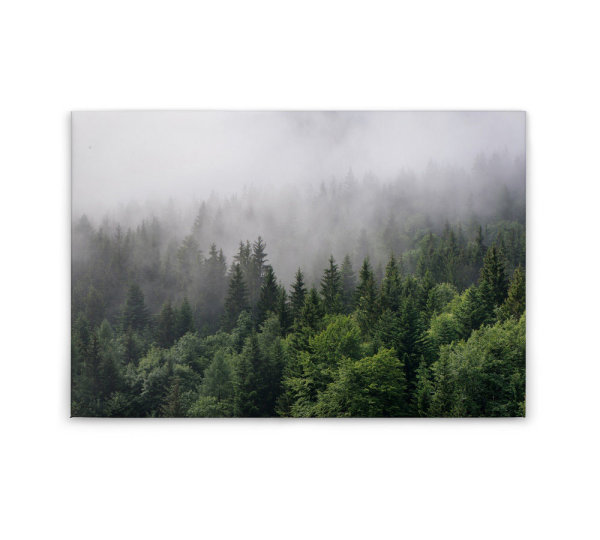 Leinwandbild FoggyFirTrees Wald 90cm x 60 cm
