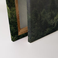 Leinwandbild FoggyFirTrees Wald 90cm x 60 cm