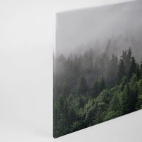 Leinwandbild FoggyFirTrees Wald 90cm x 60 cm