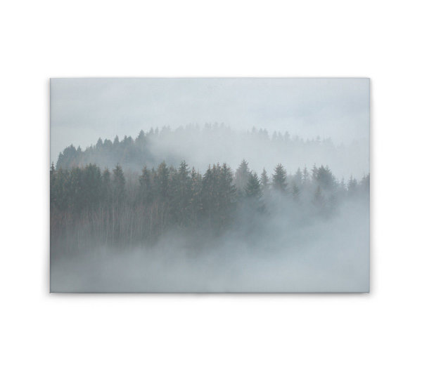 Leinwandbild MistyForest Wald 90cm x 60 cm
