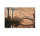 Leinwandbild ParkBridge2 Wald 90cm x 60 cm