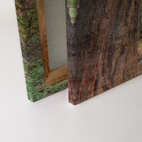 Leinwandbild ForestWalk1 Wald 90cm x 60 cm