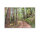 Leinwandbild ForestWalk1 Wald 90cm x 60 cm