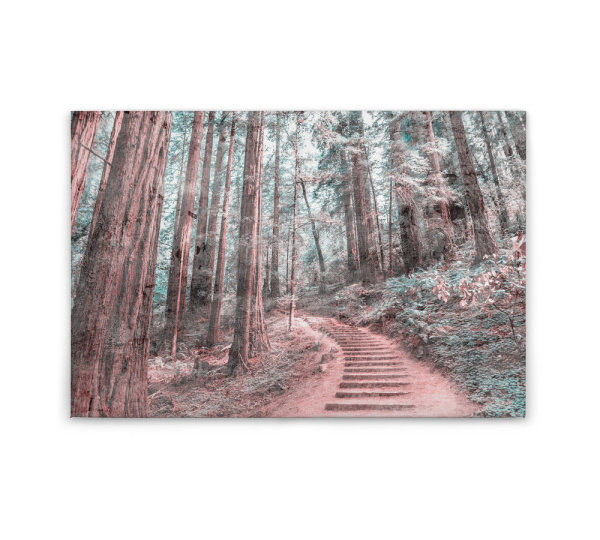 Leinwandbild ForestWalk2 Wald 90cm x 60 cm