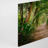 Leinwandbild PalmWalk Dschungel 90cm x 60 cm