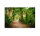Leinwandbild PalmWalk Dschungel 90cm x 60 cm