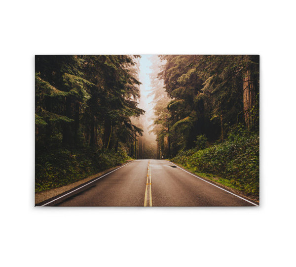 Leinwandbild RoadTrip Wald 90cm x 60 cm