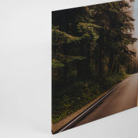 Leinwandbild RoadTrip Wald 90cm x 60 cm