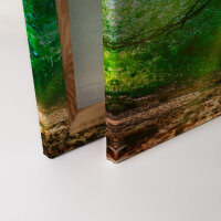 Leinwandbild ForestLight Wald 90cm x 60 cm