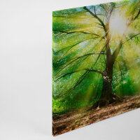 Leinwandbild ForestLight Wald 90cm x 60 cm