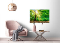 Leinwandbild ForestLight Wald 90cm x 60 cm