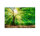 Leinwandbild ForestLight Wald 90cm x 60 cm