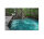 Leinwandbild DschunglePath Wald 90cm x 60 cm