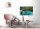 Leinwandbild DschunglePath Wald 90cm x 60 cm