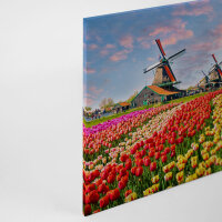 Leinwandbild ZaanseSchans Landschaft 90cm x 60 cm