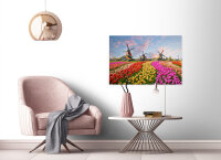 Leinwandbild ZaanseSchans Landschaft 90cm x 60 cm
