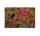 Leinwandbild funkybirds3 Vögel 90cm x 60 cm