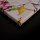 Leinwandbild songbirds2 Vögel 90cm x 60 cm