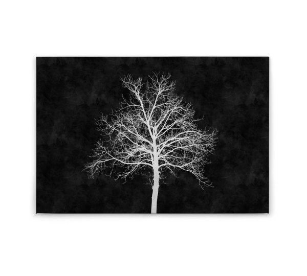 Leinwandbild blackboard2 Schwarz Weiß 90cm x 60 cm
