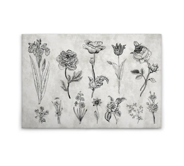 Leinwandbild sketchpad2 Landhausstil 90cm x 60 cm