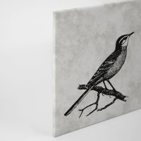 Leinwandbild sketchpad4 Vögel 90cm x 60 cm