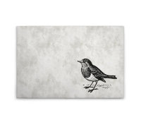 Leinwandbild sketchpad5 Vögel 90cm x 60 cm