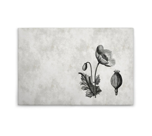 Leinwandbild sketchpad6 Landhausstil 90cm x 60 cm