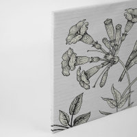 Leinwandbild birdy1 Landhausstil 90cm x 60 cm