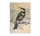 Leinwandbild vintagebirds2 Landhausstil 60cm x 90 cm