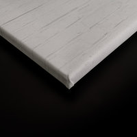 Leinwandbild titan1 Tiere 90cm x 60 cm