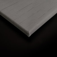 Leinwandbild titan2 Tiere 90cm x 60 cm