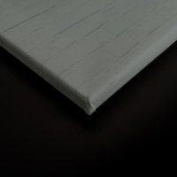 Leinwandbild titan3 Tiere 90cm x 60 cm