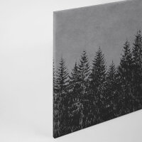 Leinwandbild blackforest3 Wald 90cm x 60 cm