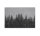 Leinwandbild blackforest3 Wald 90cm x 60 cm