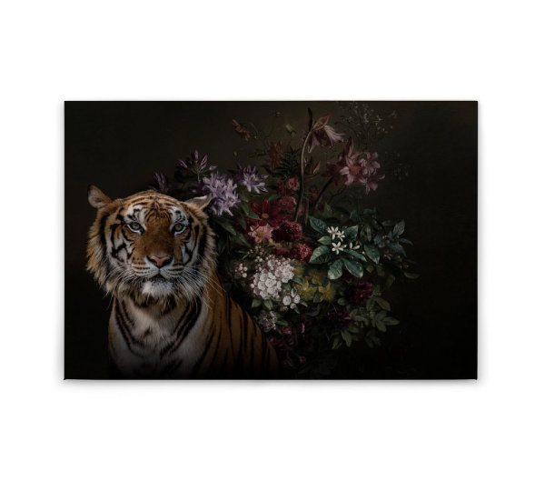 Leinwandbild wildlife1 Tiere 90cm x 60 cm
