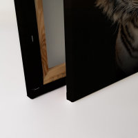 Leinwandbild wildlife1 Tiere 90cm x 60 cm