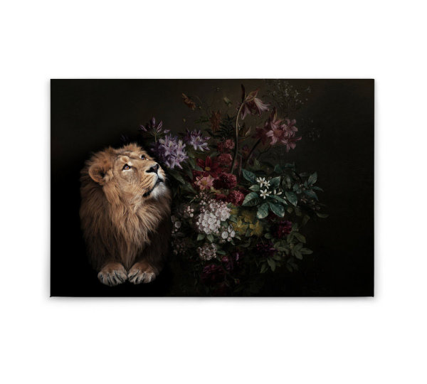 Leinwandbild wildlife2 Tiere 90cm x 60 cm