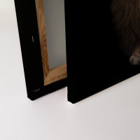 Leinwandbild wildlife2 Tiere 90cm x 60 cm
