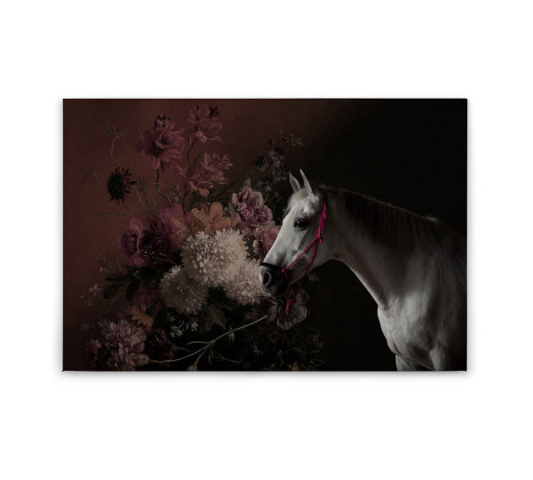 Leinwandbild horses1 Tiere 90cm x 60 cm