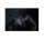 Leinwandbild horses2 Tiere 90cm x 60 cm