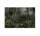 Leinwandbild jungle2 Dschungel 90cm x 60 cm