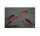 Leinwandbild dancingkois1 Tiere 90cm x 60 cm