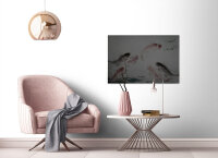Leinwandbild dancingkois2 Tiere 90cm x 60 cm