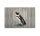 Leinwandbild borntobewild4 Tiere 90cm x 60 cm