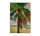 Leinwandbild tahiti3 Strand Meer 60cm x 90 cm