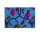 Leinwandbild birdofparadise1 Vögel 90cm x 60 cm