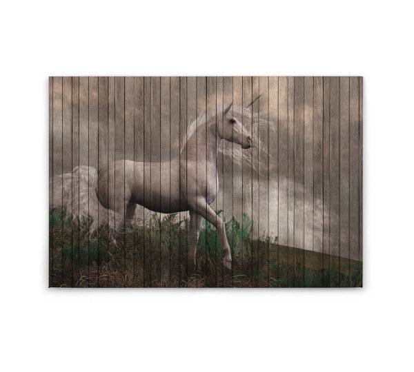 Leinwandbild fantasy3 Tiere 90cm x 60 cm