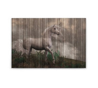Leinwandbild fantasy3 Tiere 90cm x 60 cm